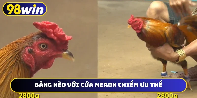 Bảng kèo với cửa Meron chiếm ưu thế