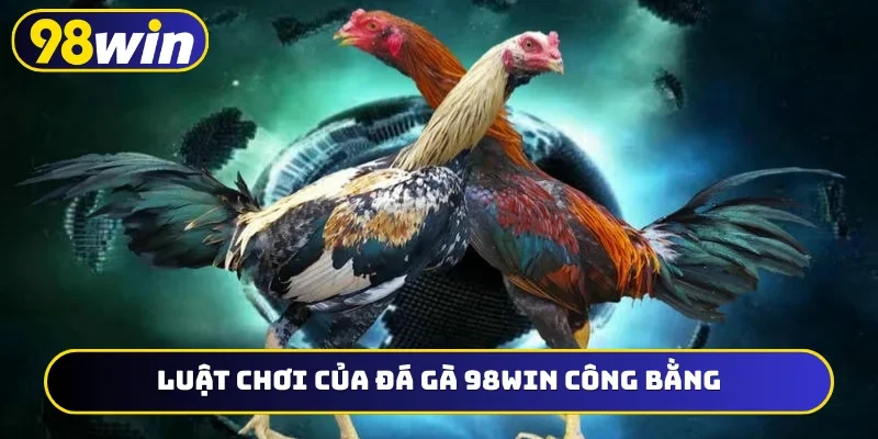 Cửa cược BDD sở hữu tỷ lệ ăn rất cao